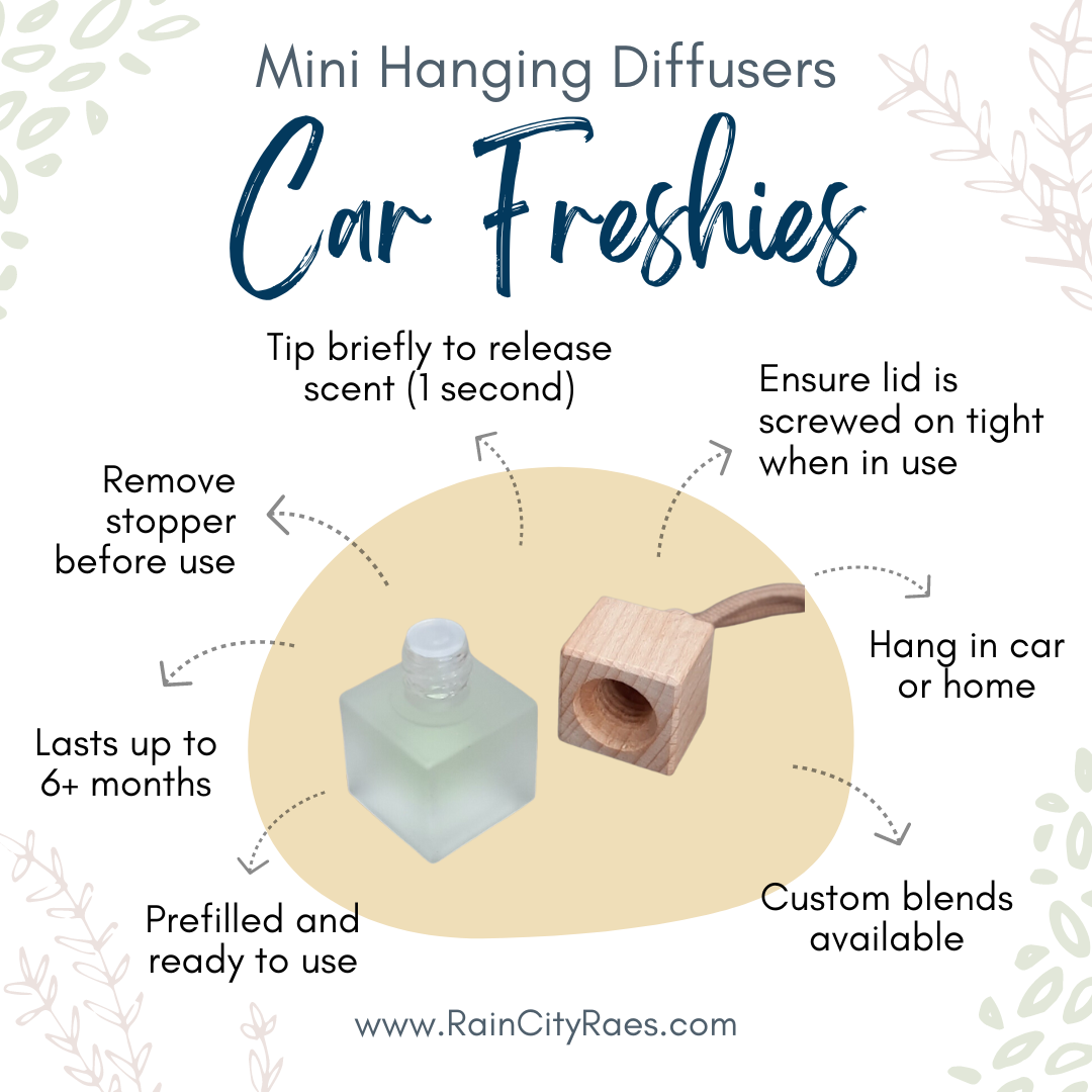 Hanging Car Diffuser Essential Oil Blends – raincityraes