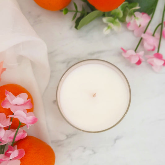 Sweet Clementine 4 oz Petite Candle