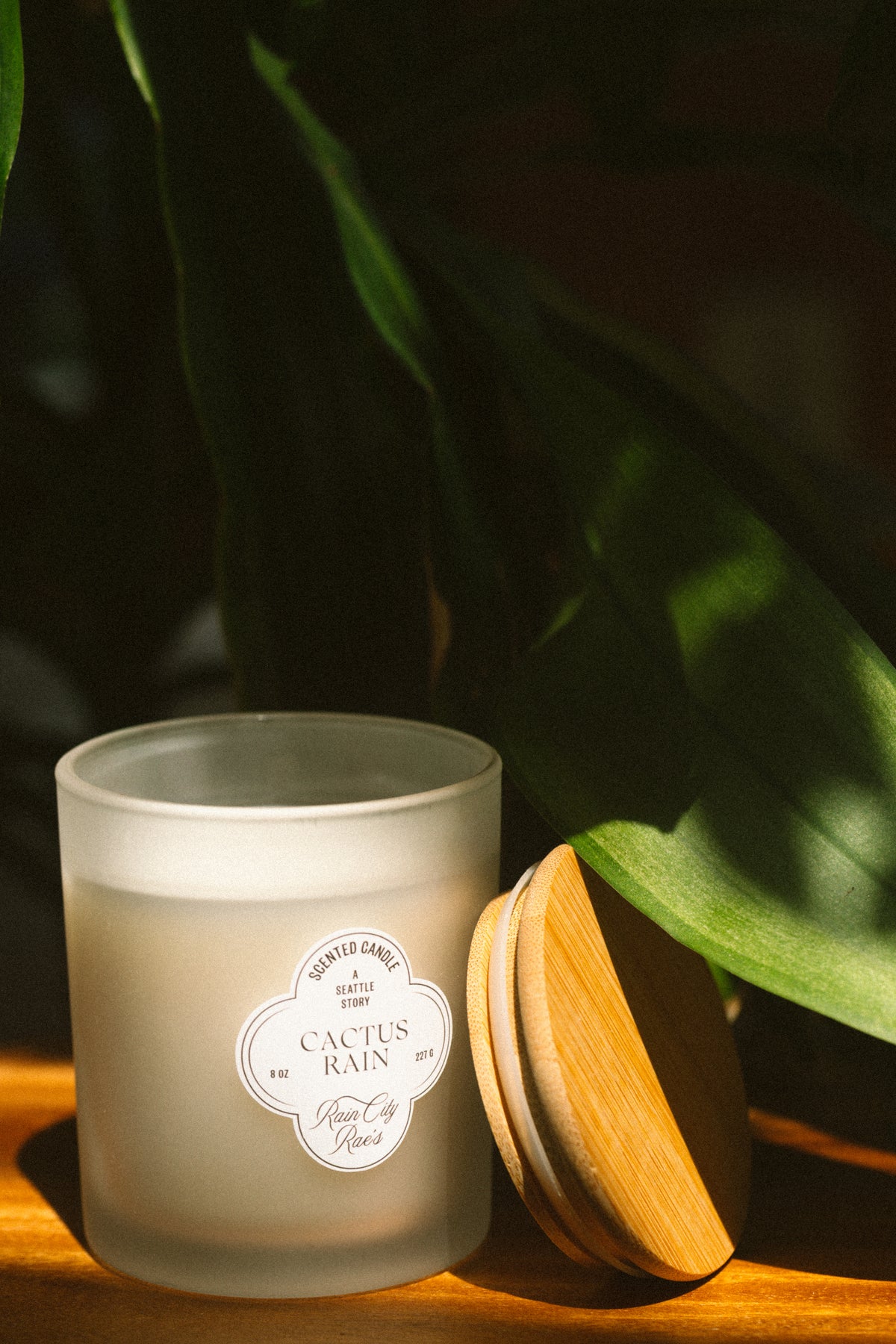 A frosted glass candle jar labeled 'Cactus Rain' By Rain City Rae's. sits on a wooden surface beside a light wood lid, with large green leaves in soft focus in the background.