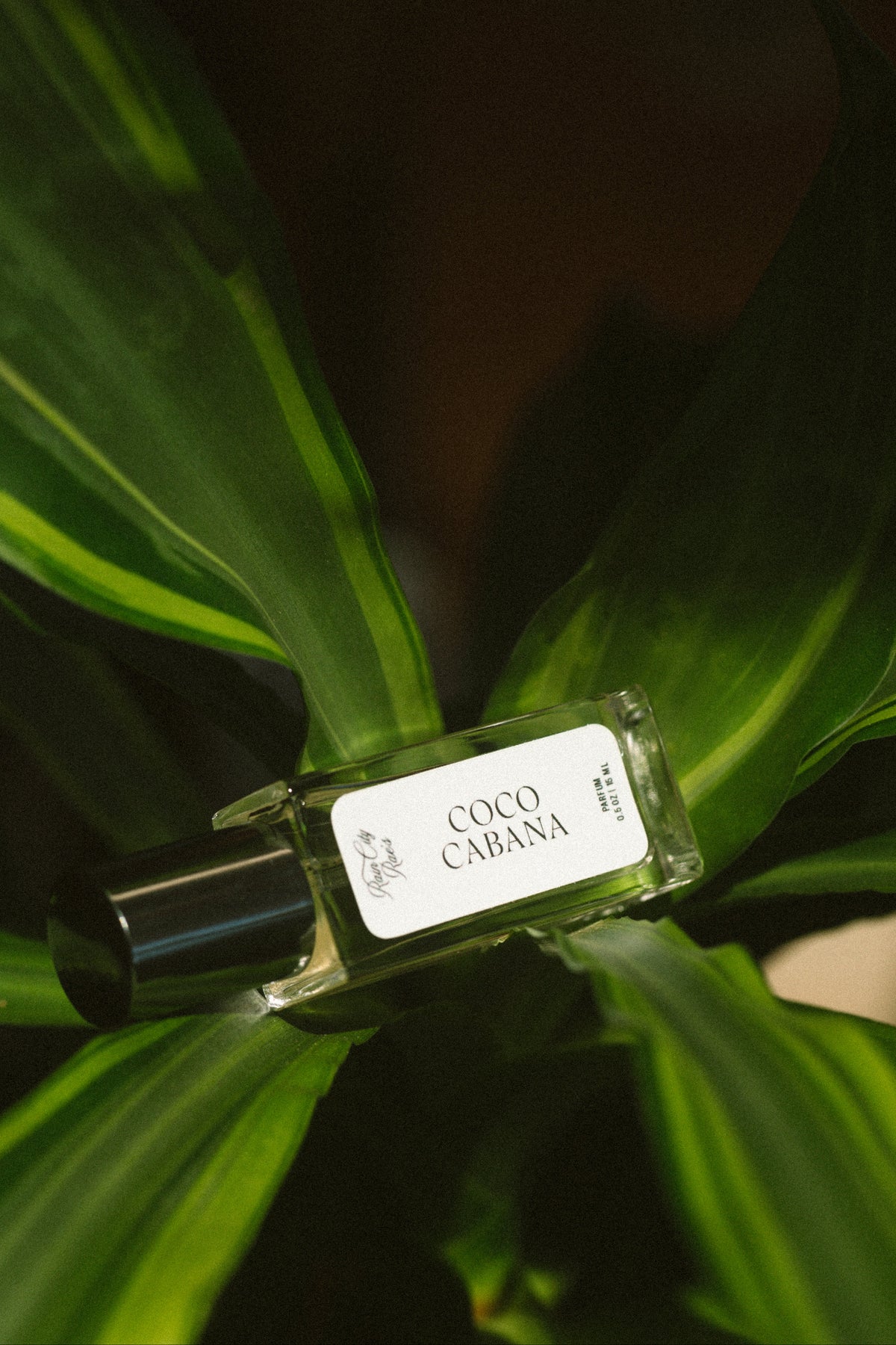 A small rectangular glass perfume bottle labeled 'COCO CÀBANA' with a black cap, resting on green variegated leaves against a dark background. By Rain City Rae's