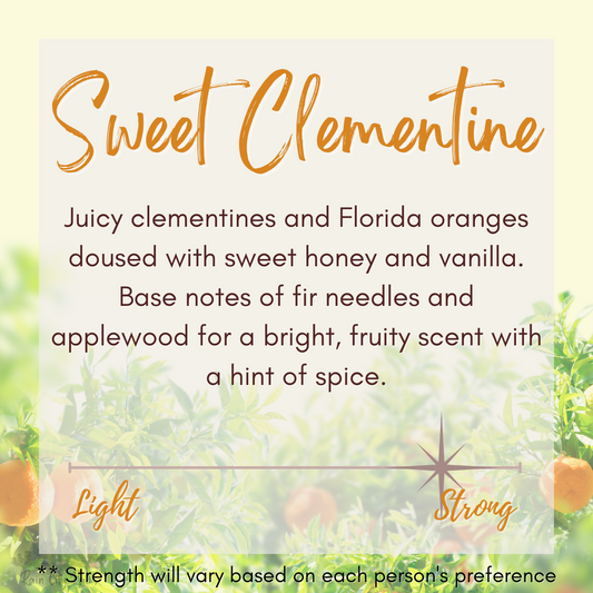 Sweet Clementine 4 oz Petite Candle