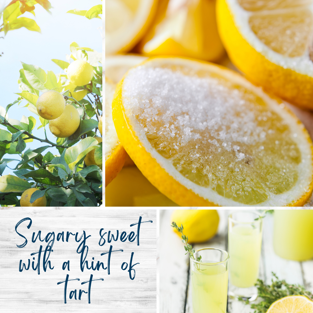 Sugared Lemons 4 oz Candle | Teal Blue Travel Tin